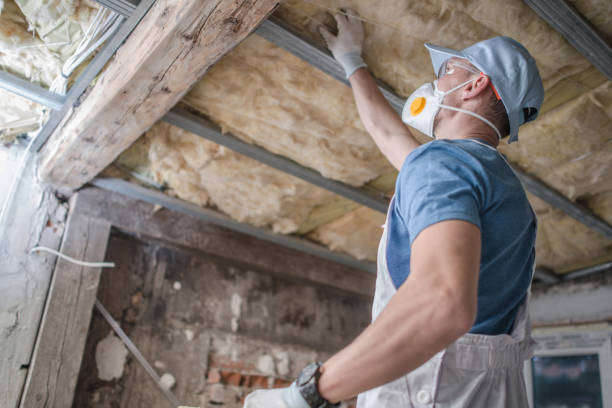 Best Commercial Insulation in Champaign, IL