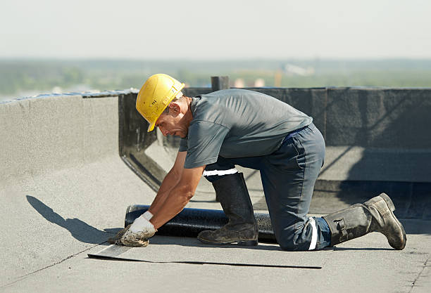 Best Insulation Maintenance and Repair in Champaign, IL