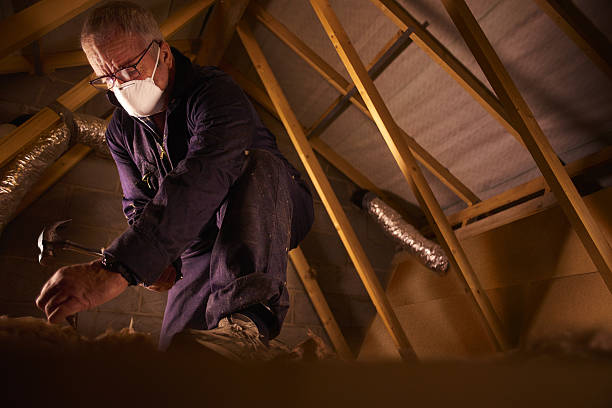 Best Residential Insulation in Champaign, IL