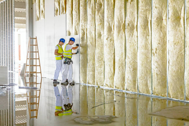 Types of Insulation We Offer in Champaign, IL